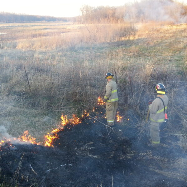 Brush Fire Training